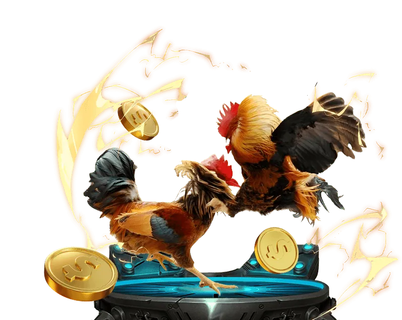 Hỗ trợ marketing